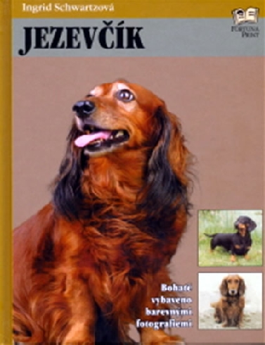 JEZEVCIK