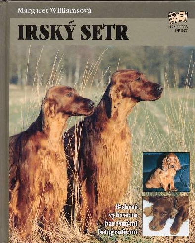 IRSKY SETR