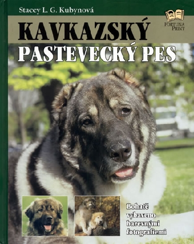 KAVKAZSKY PASTEVECKY PES
