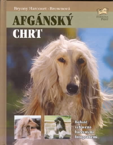 AFGANSKY CHRT