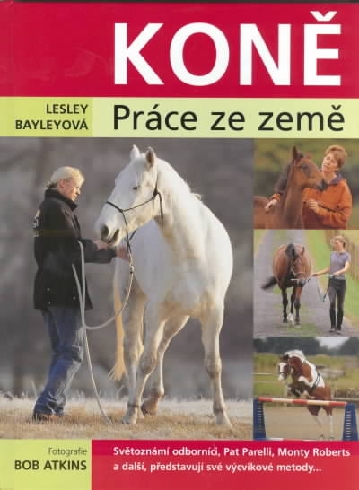 KONE - PRACE ZE ZEME