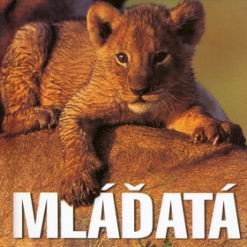 MLADATA
