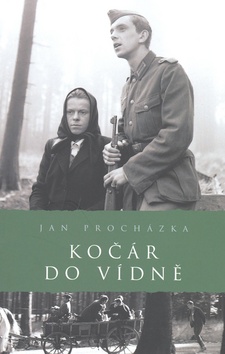 KOCAR DO VIDNE