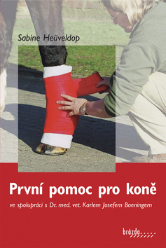 PRVNI POMOC PRO KONE