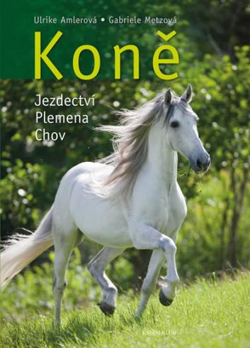 KONE - JAZDECTVI, PLEMENA, CHOV