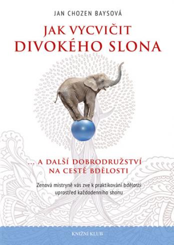JAK VYCVIVIT DIVOKEHO SLONA
