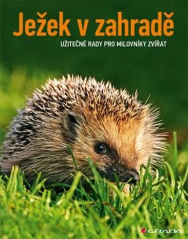 JEZEK V ZAHRADE