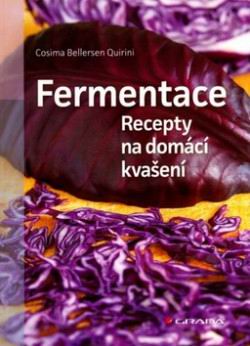 FERMENTACE RECEPTY NA DOMACI KVASENI