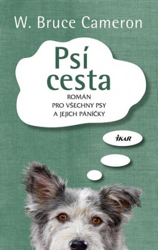 PSI CESTA