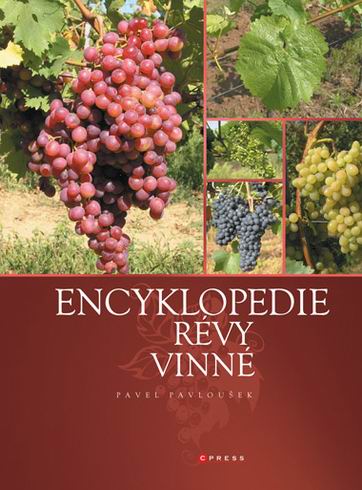 ENCYKLOPEDIE REVY VINNE