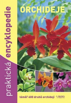 ORCHIDEJE