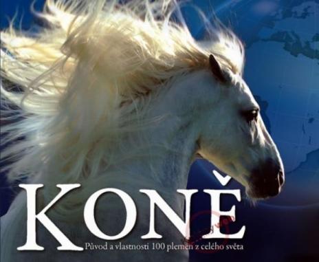 KONE