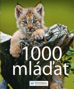 1000 MLADAT