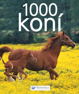 1000 KONI
