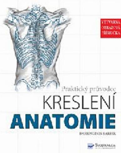 KRESLENI ANATOMIE