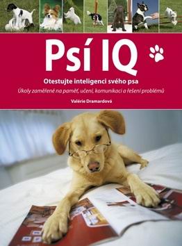 PSI IQ OTESTUJTE INTELIGENCI SVEHO PSA