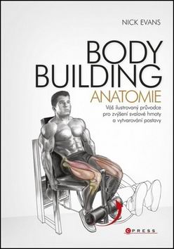BODYBUIDING ANATOMIE
