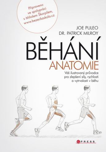 BEHANI - ANATOMIE