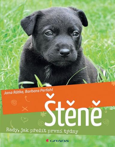 STENE