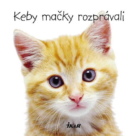 KEBY MACKY ROZPRAVALI