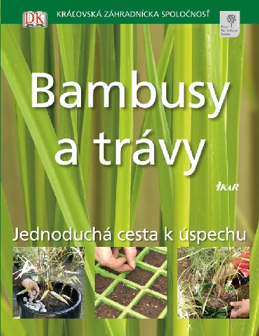 JEDNODUCHA CESTA K USPECHU BAMBUSY A TRAVY