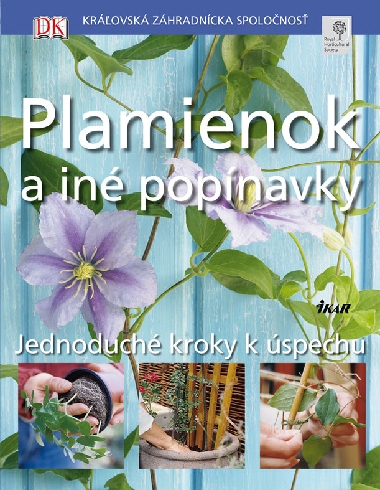 PLAMIENOK A INE POPINAVKY - JEDNODUCHE KROKY K USPECHU