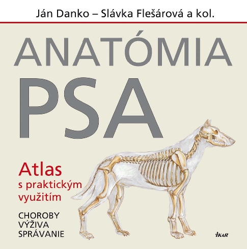 ANATOMIA PSA