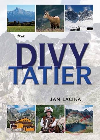 DIVY TATIER