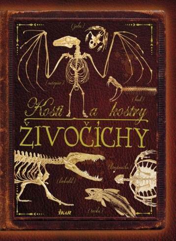 KOSTI A KOSTRY - ZIVOCICHY