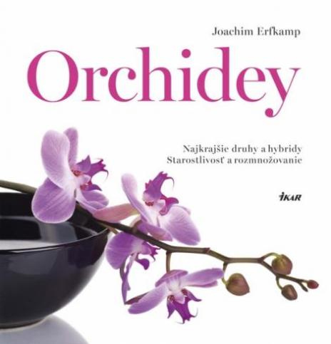 ORCHIDEY