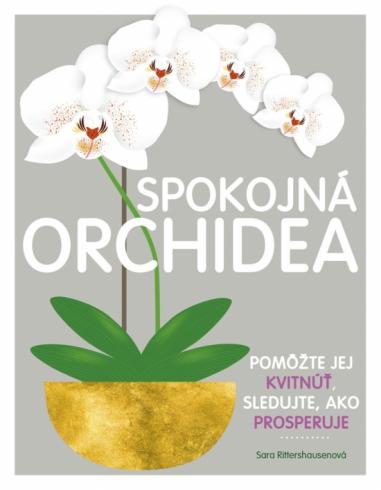 SPOKOJNA ORCHIDEA