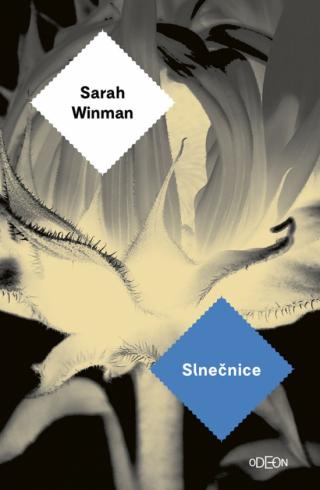 SLNECNICE