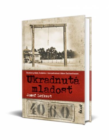 UKRADNUTA MLADOST