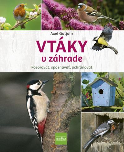 VTAKY V ZAHRADE