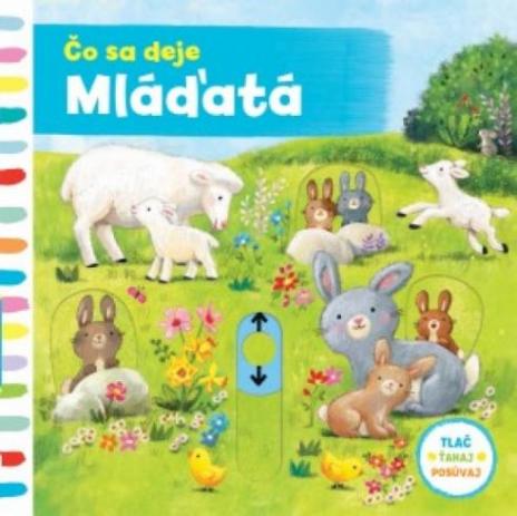CO SA DEJE MLADATA