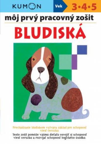 BLUDISKA - MOJ PRVY PRACOVNY ZOSIT