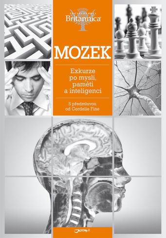 MOZEK PRUVODCE PO ANATOMII MOZKU A JEHO FUNCICH