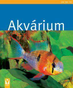 JAK NA TO - AKVARIUM