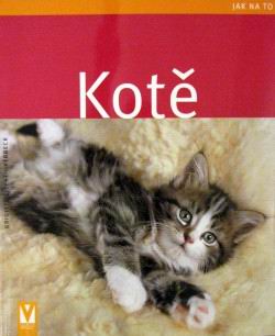 JAK NA TO - KOTE