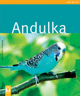 JAK NA TO - ANDULKA