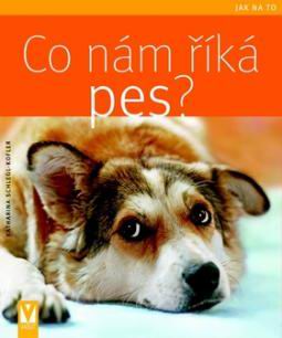 CO NAM RIKA PES ?