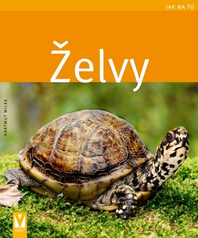 ZELVY