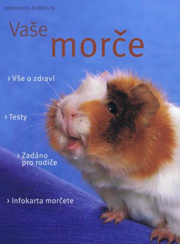 VASE MORCE