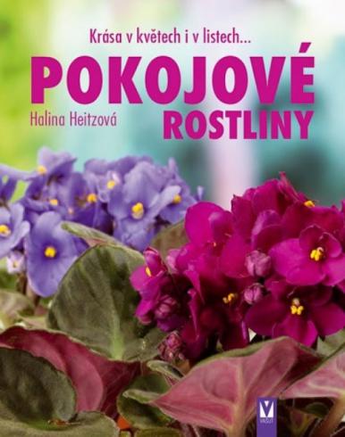 POKOJOVE ROSTLINY