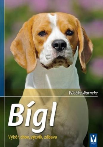 BIGL