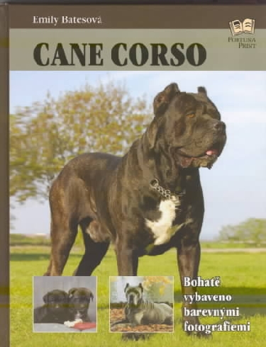 CANE CORSO