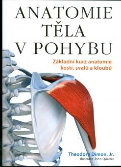 ANATOMIE TELA V POHYBU