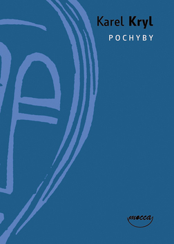 POCHYBY