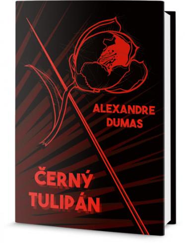 CERNY TULIPAN