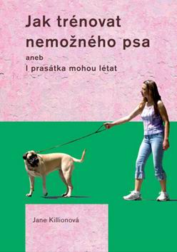 JAK TRENOVAT NEMOZNEHO PSA